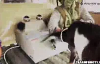 شاب طالب جامعي يلعب مع قضيبي.