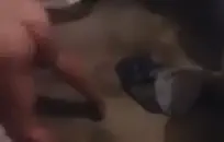 تلعب كس مع هزاز بينما أمي في الغرفة المجاورة.