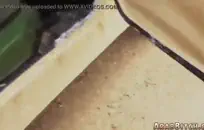 قرر الصديقان ليلي كونتياردز (كارتر) وبيلي بلومانهارد (بيلي) المضي قدمًا وتصوير فيلم إباحي للهواة محلي الصنع.