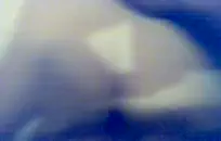 جليسة الأطفال الساخنة الكبار يطرحون تبادل لاطلاق النار الإباحية