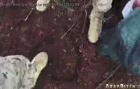 مثير فاتنة في جوارب شبكية اللعب على كاميرا ويب.