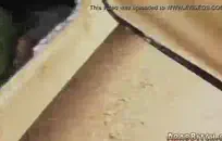 مص الديك بينما سخيف بلدي فرنك بلجيكي.