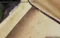 سيباستيان رجال حار مستقيم كومينغ إلى الإباحية الإباحية.